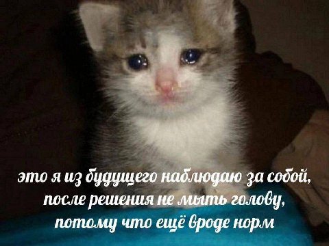 это я из будущего наблюдаю за содой, после решения не голову, потому что ещё вроде норм