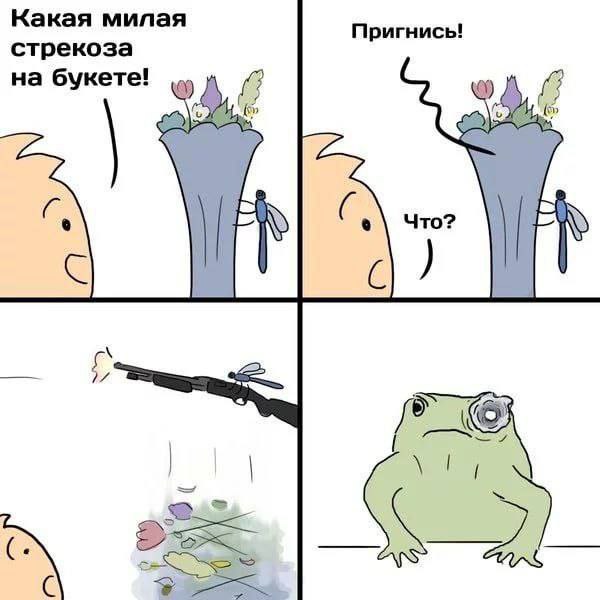 Какая милая Пригнись! стрекоза на букете! Что? с 2 С