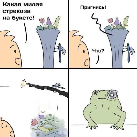 Какая милая Пригнись! стрекоза на букете! Что? с 2 С