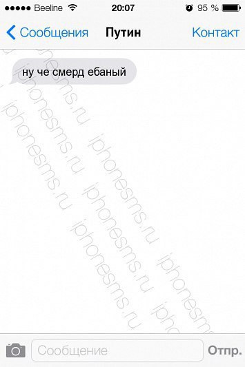 20:07 95 Контакт Сообщения Путин ну че смерд ебаный Отпр.