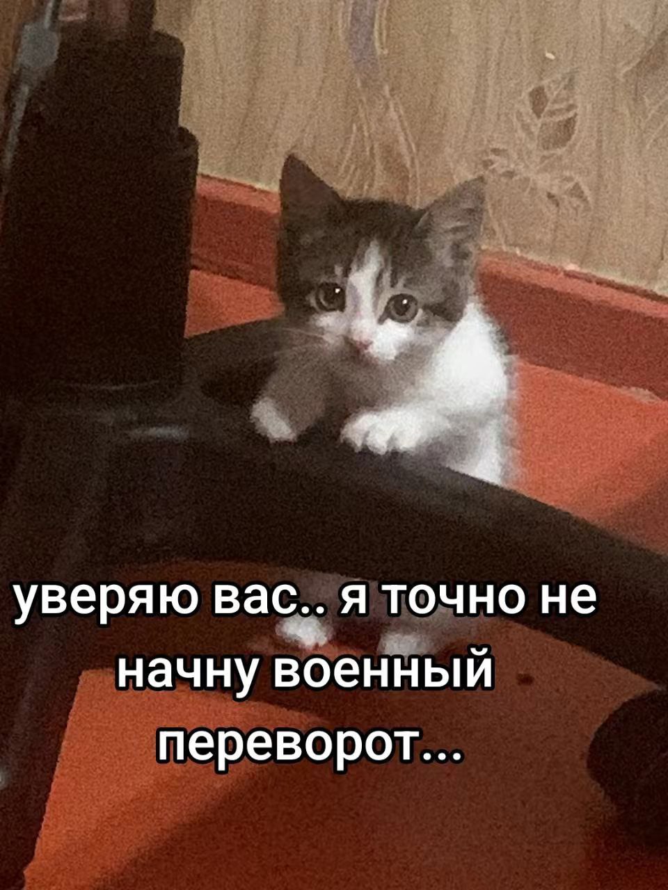 уверяю вас.. я точно не начну военный переворот...