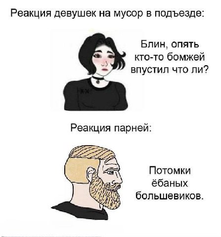 Реакция девушек на мусор в подъезде: Блин, опять кто-то бомжей впустил что ли? Реакция парней: Потомки ёбаных большевиков.