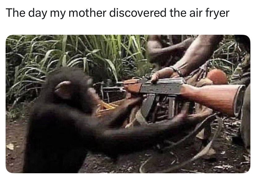 The day my mother discovered the air fryer aft