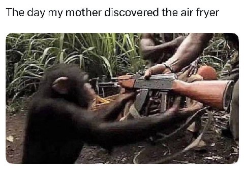 The day my mother discovered the air fryer aft