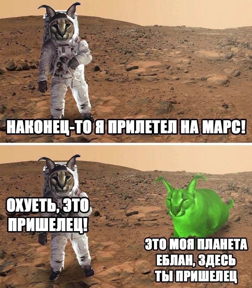 НАКОНЕЦ-ТО Я ПРИЛЕТЕЛ НА МАРС! ОХУЕТЬ, ЭТО. ПРИШЕЛЕЦ! ЭТО МОЯ ПЛАНЕТА ЕБЛАН, ЗДЕСЬ ТЫ ПРИШЕЛЕЦ
