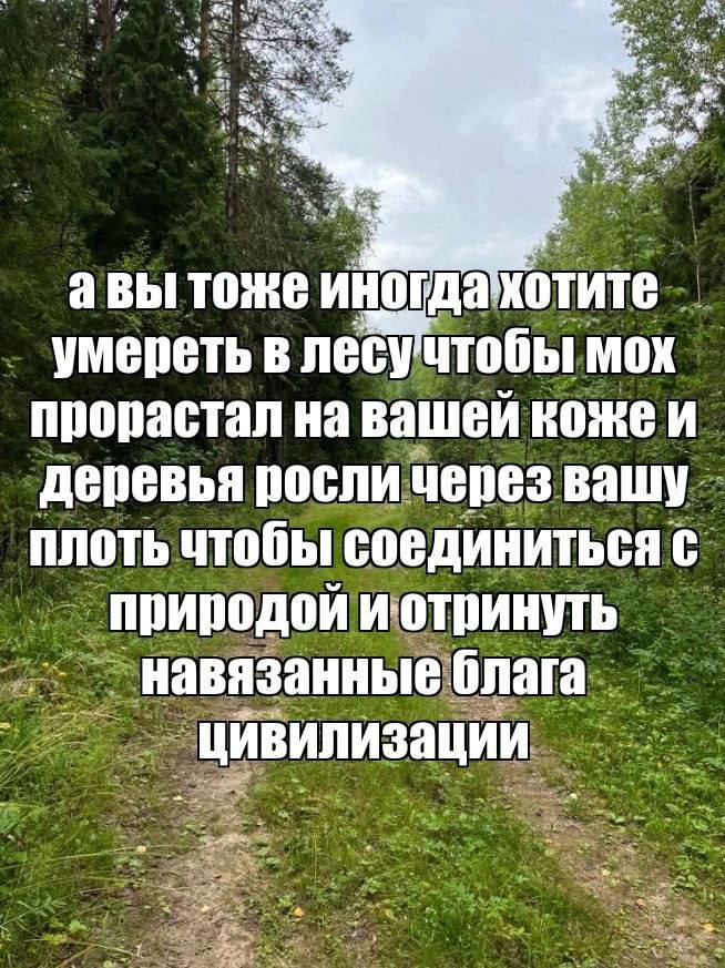 4 авы тоже иногдахотите умереть в лесучтобы мох прорастал вашеи деревья росли через вашу плоть чтобы соединиться с природои Цивилизации