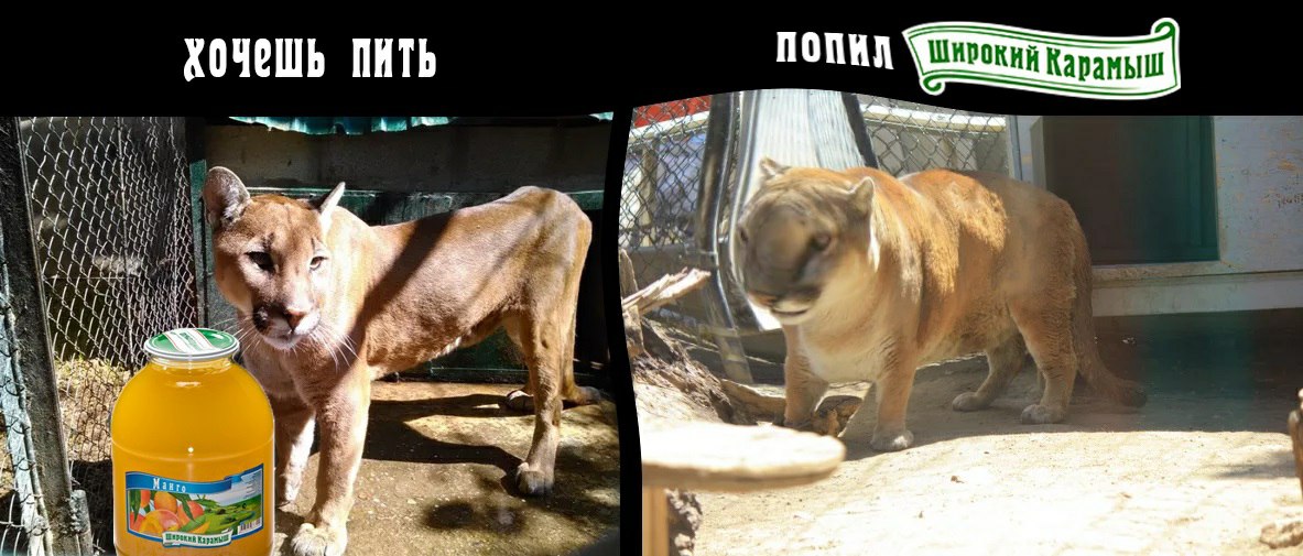 Хочешь ПИТЬ nonwn Широкий Кара 7 itt i 3 a в i] 3 а