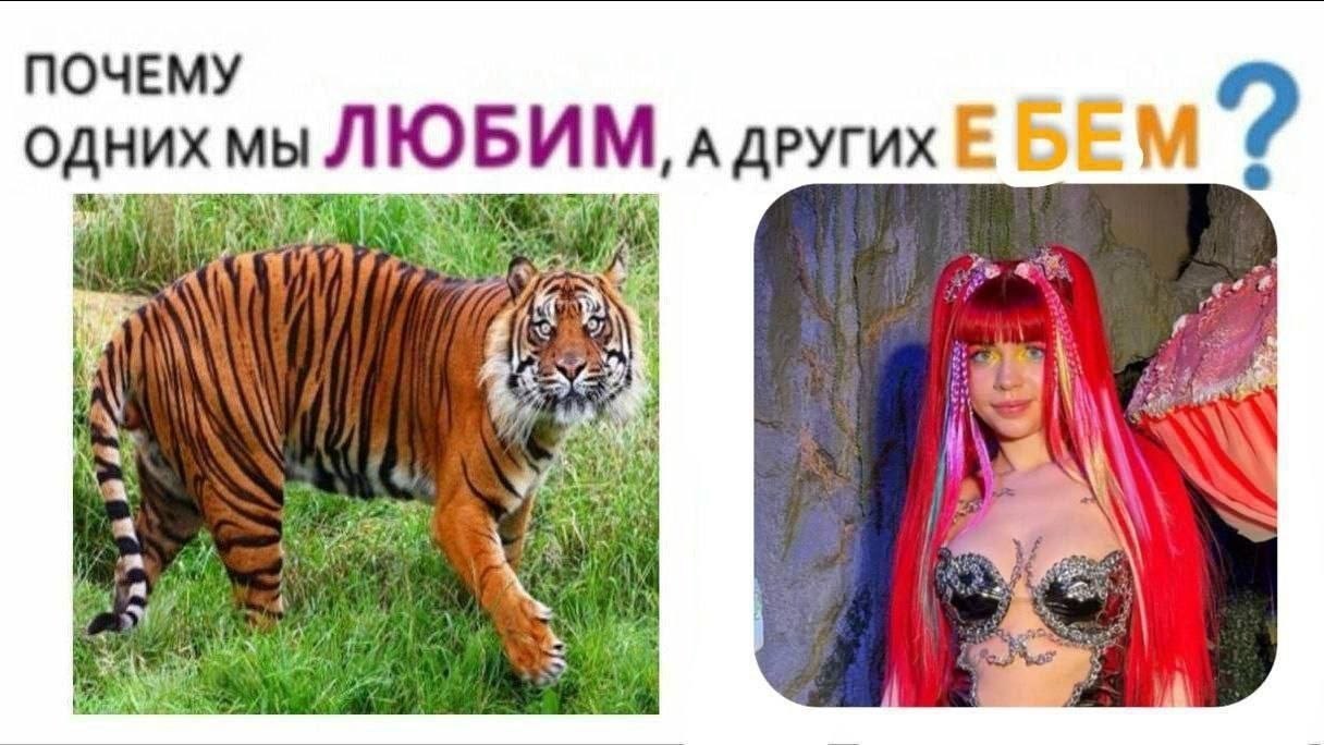 ПОЧЕМУ одних мы ЛЮБИМ, А ДРУГИХ a a> 1