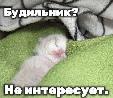Буд интересует:
