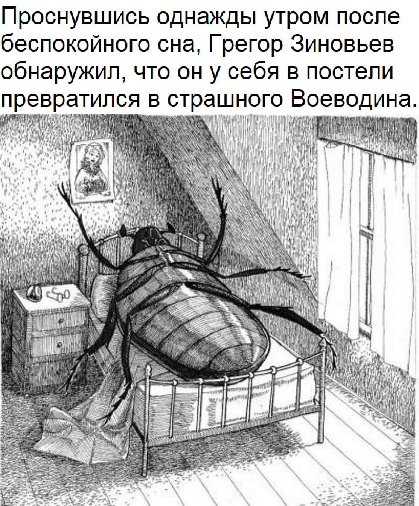 Проснувшись однажды утром после беспокойного сна, Грегор Зиновьев обнаружил, что он у себя в постели превратился в страшного Воеводина. у. i i BE А у 4 3 5