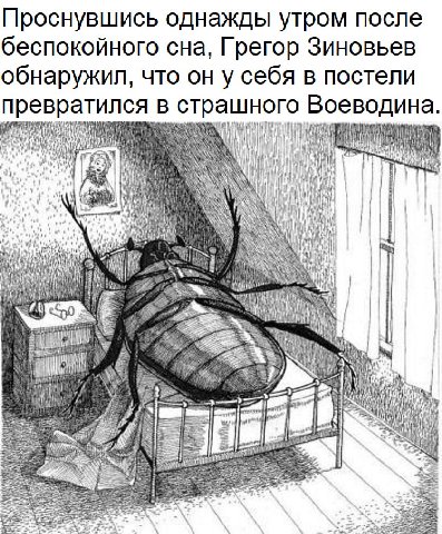 Проснувшись однажды утром после беспокойного сна, Грегор Зиновьев обнаружил, что он у себя в постели превратился в страшного Воеводина. у. i i BE А у 4 3 5