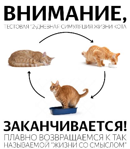 ВНИМАНИЕ ТЕСТОВАЯ 12-ДНЕВНАЯ СИМУЛЯЦИЯ ЖИЗНИ КОТА fii ЗАКАНЧИВАЕТСЯ! НАЗЫВАЕМОЙ “ЖИЗНИ СМЫСЛОМ” ПЛАВНО ВОЗВРАЩАЕМСЯ К ТАК