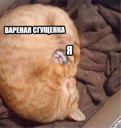 ВАРЕНАЯ СГУЩЕНКА Я