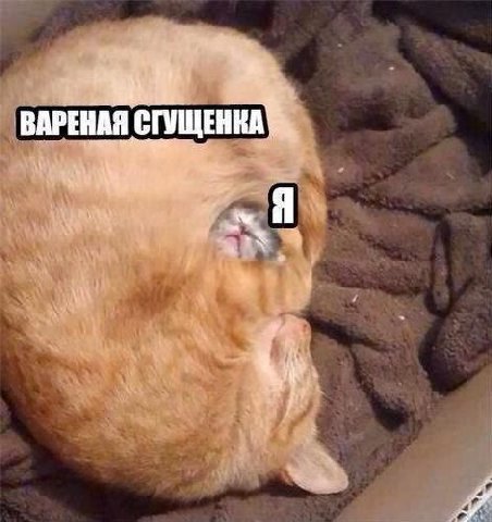 ВАРЕНАЯ СГУЩЕНКА Я