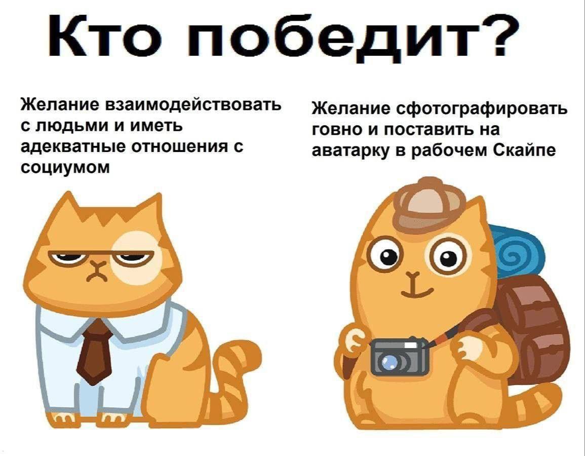Кто победит? Желание взаимодействовать Желание сфотографировать с людьми и иметь говно и поставить на адекватные отношения с аватарку в рабочем Скайпе социумом my A