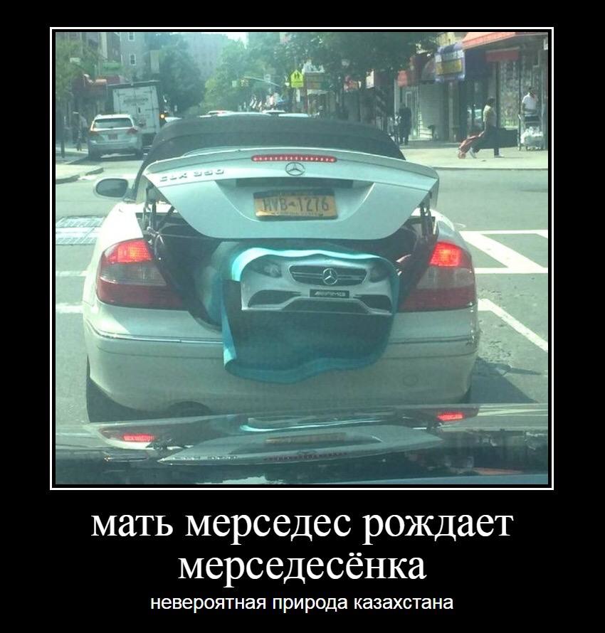 мать мерседес рождает мерседесенка невероятная природа казахстана