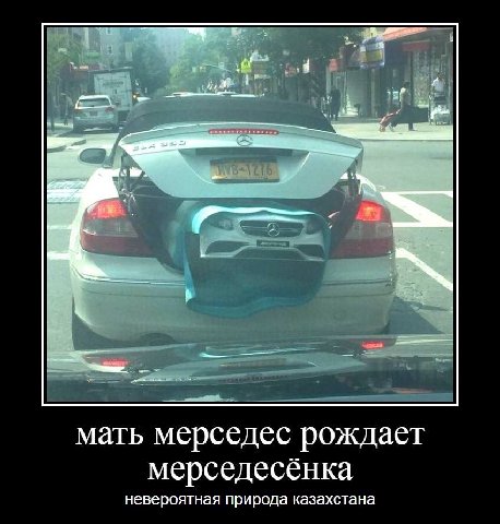 мать мерседес рождает мерседесенка невероятная природа казахстана