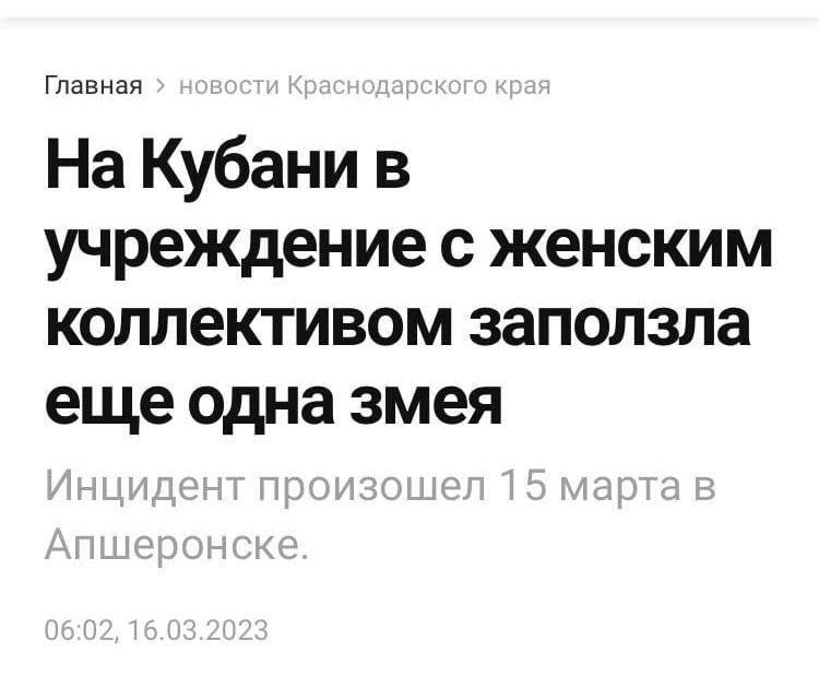 Главная На Кубани в учреждение с женским коллективом заползла еще одна змея
