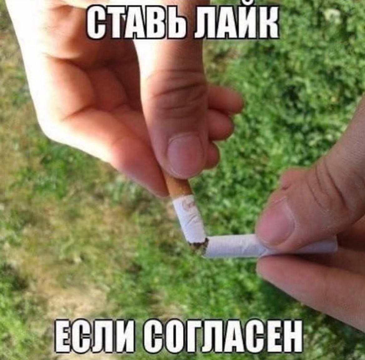 ЕСЛИ СОГЛАСЕН