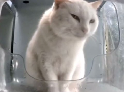 что же он удумал