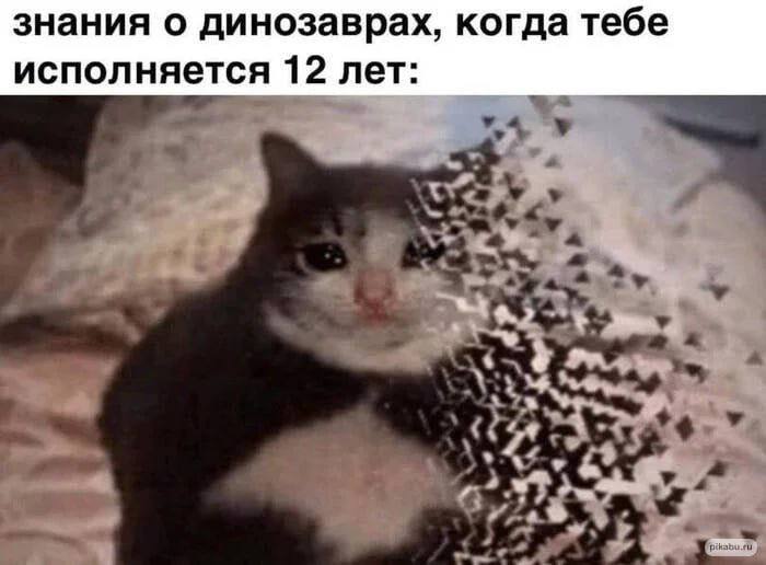 знания о динозаврах, когда тебе исполняется 12 лет: