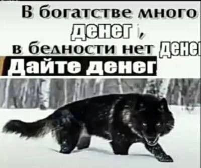 В богатстве много 1 в нет Цайте денег
