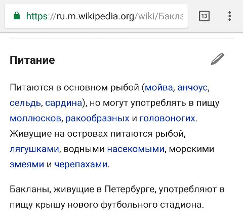 В https://ru.m.wikipedia.org/wiki/Bakne Питание Питаются в основном рыбой (мойва, анчоус, сельдь, сардина), но могут употреблять в пищу моллюсков, ракообразных И ГОЛОВОНОГИХ. Живущие на островах питаю