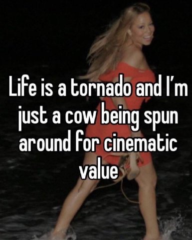 Life is a tornado and just а cow being spun around For cinematic уаше