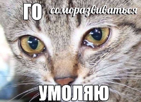 i 4 С a CSU: i у A к a, 7 я i у у
