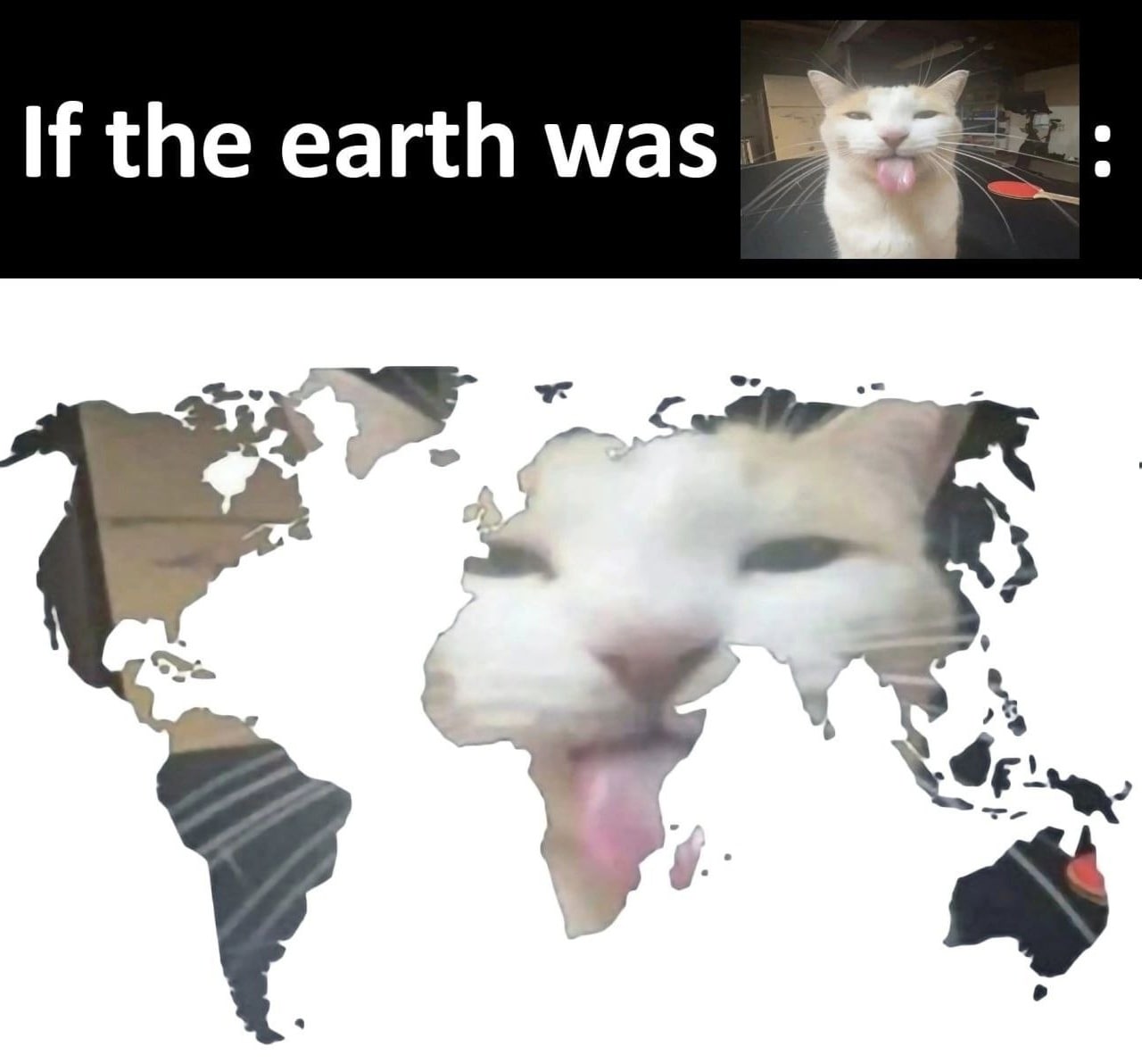 If the earth was 4 у