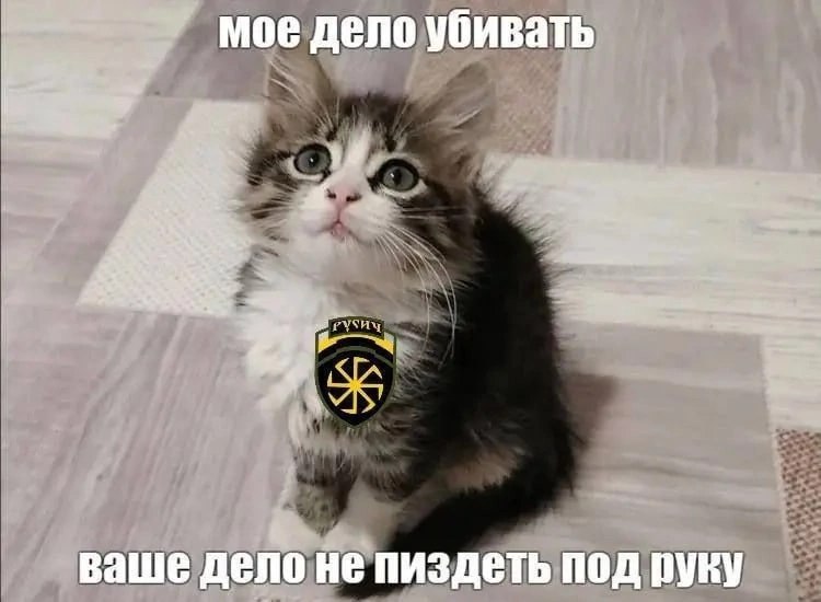мое дело убивать AS ваше дело не пиздеть под руку