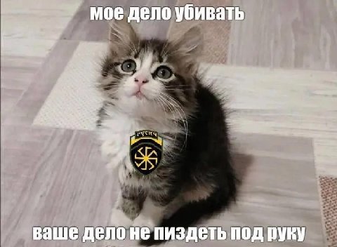 мое дело убивать AS ваше дело не пиздеть под руку