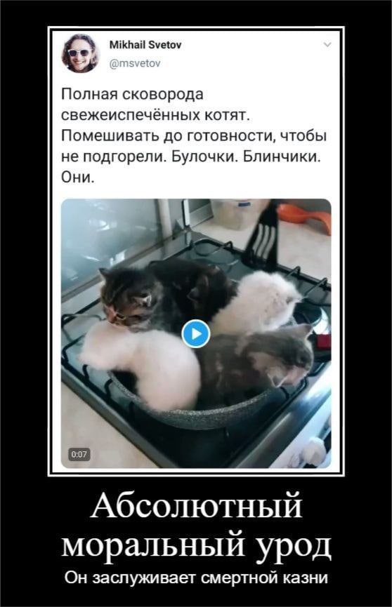 Mikhail Svetov @msvetov Полная сковорода свежеиспечённых котят. Помешивать до готовности, чтобы не подгорели. Булочки. Блинчики. Они. а Абсолютный моральный урод Он заспуживает смертной казни