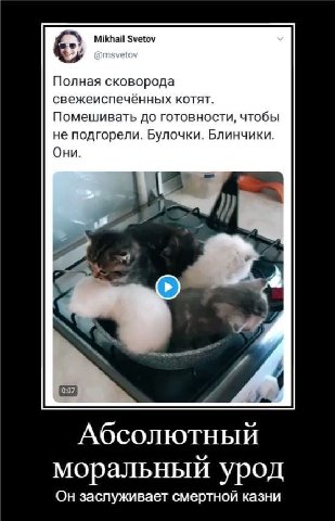 Mikhail Svetov @msvetov Полная сковорода свежеиспечённых котят. Помешивать до готовности, чтобы не подгорели. Булочки. Блинчики. Они. а Абсолютный моральный урод Он заспуживает смертной казни