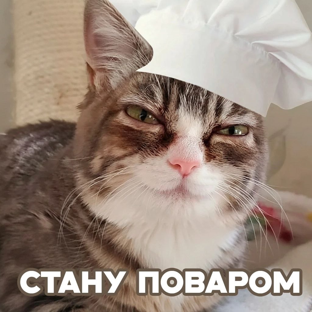 a CTAHY NOBAPOM