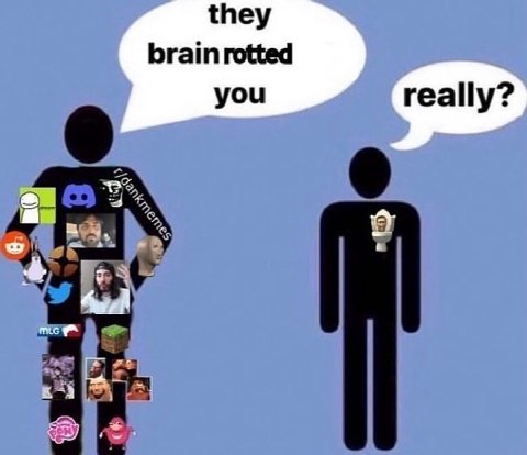 they brain rotted you