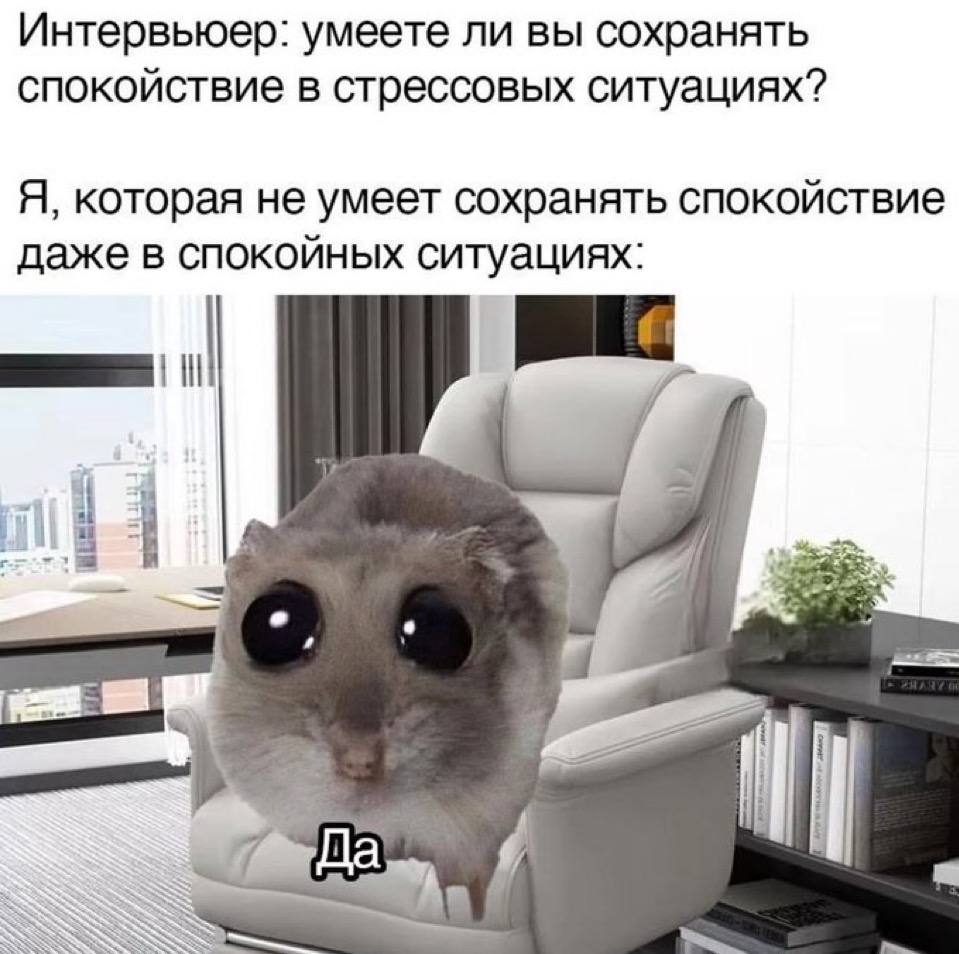 Интервьюер: умеете ли вы сохранять спокойствие в стрессовых ситуациях? Я, которая не умеет сохранять спокойствие даже в спокойных ситуациях: i/