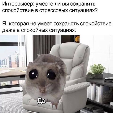 Интервьюер: умеете ли вы сохранять спокойствие в стрессовых ситуациях? Я, которая не умеет сохранять спокойствие даже в спокойных ситуациях: i/