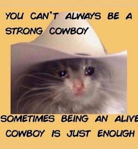 YOU CAN’T ALWAYS А STRONG. COWBOY Bes SOMETIMES BEING AN ALIVE COWBOY 15 JUST ENOUGH