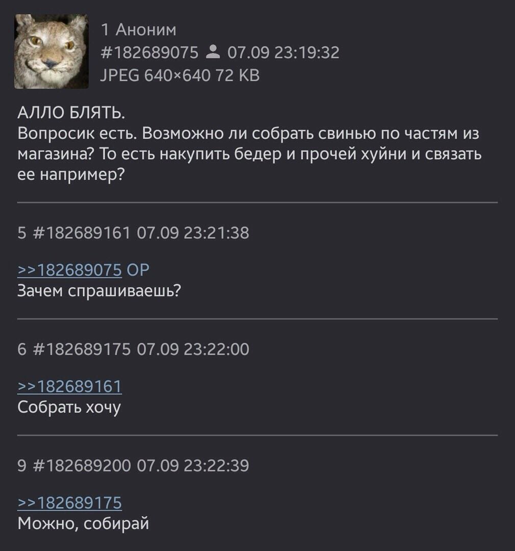 1 Аноним #182689075 07.09 23:19:32 JPEG 72 АЛЛО БЛЯТЬ. Вопросик есть. Возможно ли собрать свинью по частям из магазина? То есть накупить бедер и прочей хуйни и связать ее например? 5 #182689161 07.09 