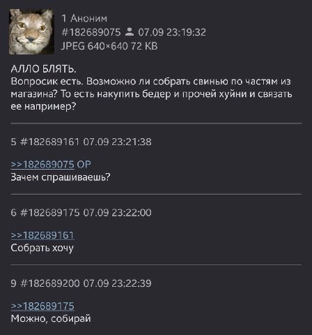 1 Аноним #182689075 07.09 23:19:32 JPEG 72 АЛЛО БЛЯТЬ. Вопросик есть. Возможно ли собрать свинью по частям из магазина? То есть накупить бедер и прочей хуйни и связать ее например? 5 #182689161 07.09 