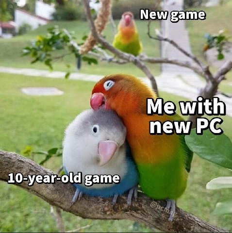Newjgame new 10-year-old game