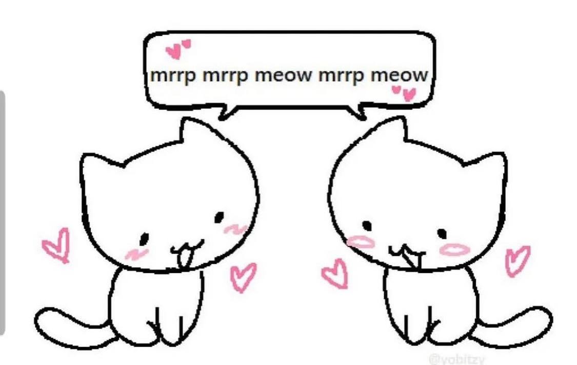 mrrp mrrp meow mrrp meow
