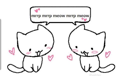 mrrp mrrp meow mrrp meow