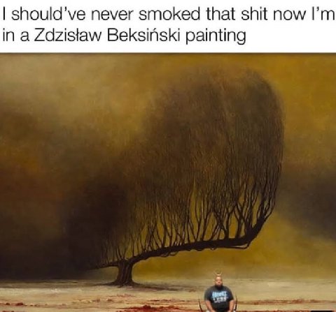 should’ve never smoked that shit now in a Zdzistaw Beksinski painting хаб