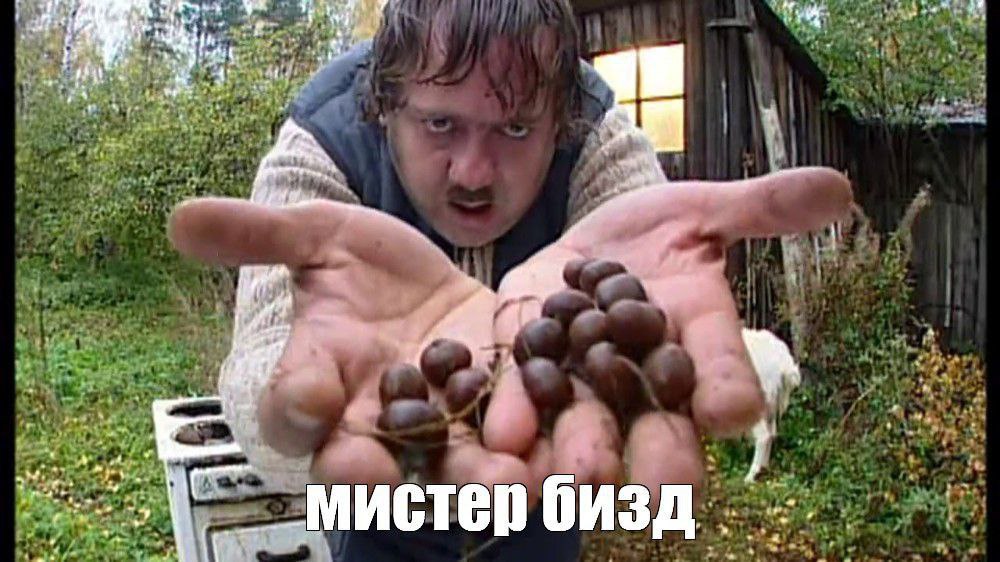 we At мистер бизд