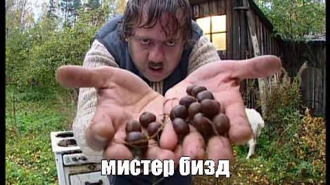 we At мистер бизд