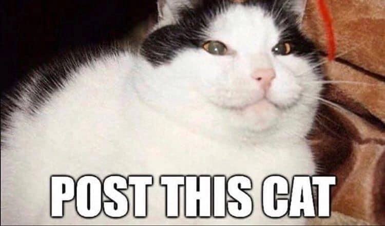 a к