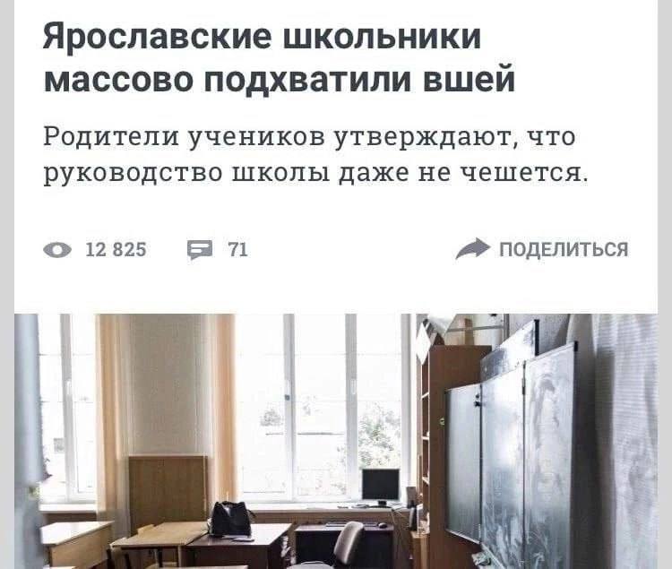 Ярославские школьники массово подхватили вшей Родители учеников утверждают, что руководство школы даже не чешется. 12825 71 ПОДЕЛИТЬСЯ