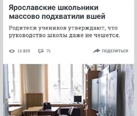 Ярославские школьники массово подхватили вшей Родители учеников утверждают, что руководство школы даже не чешется. 12825 71 ПОДЕЛИТЬСЯ